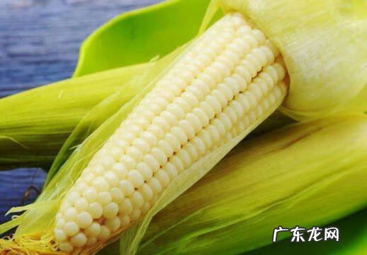 玉米煮多长时间最好 玉米煮多长时间合适