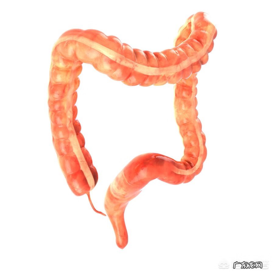 便秘的人怎么调理 便秘的真正原因是什么