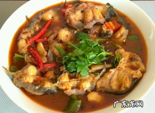 魔鬼鱼风水 鲶鱼为什么苦