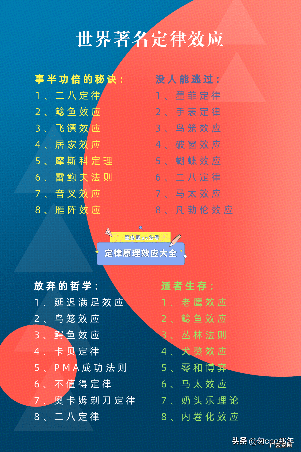 羽翼视频 羽翼效应