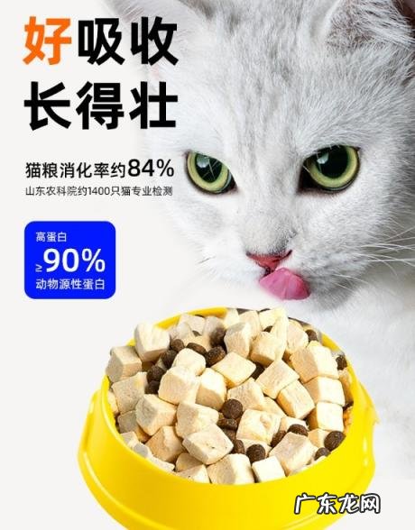 宽福猫粮有诱食剂吗 宽福猫粮怎么样?
