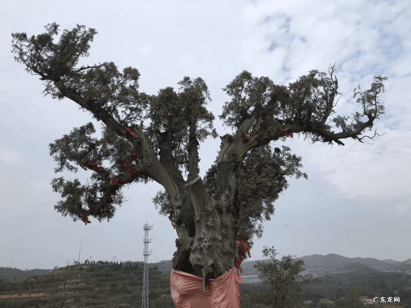 柏宽易经风水 裴柏村风水研究