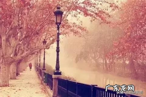 劝说英文翻译 劝说英语怎么读