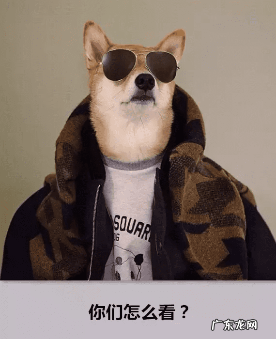 零食店 零食导购图片