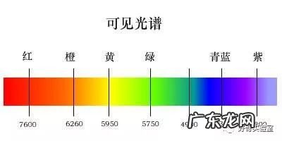 什么颜色对视力有好处 保护视力的颜色有哪些