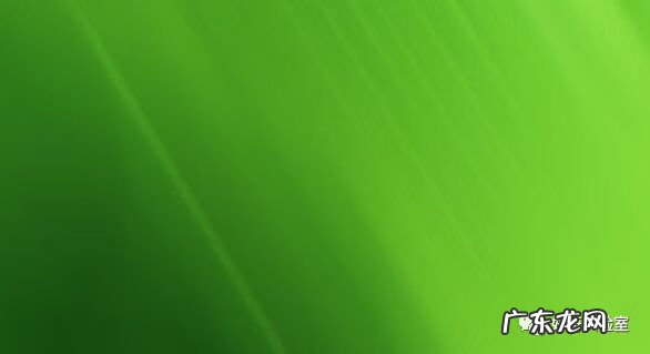 什么颜色对视力有好处 保护视力的颜色有哪些