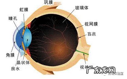 什么颜色对视力有好处 保护视力的颜色有哪些