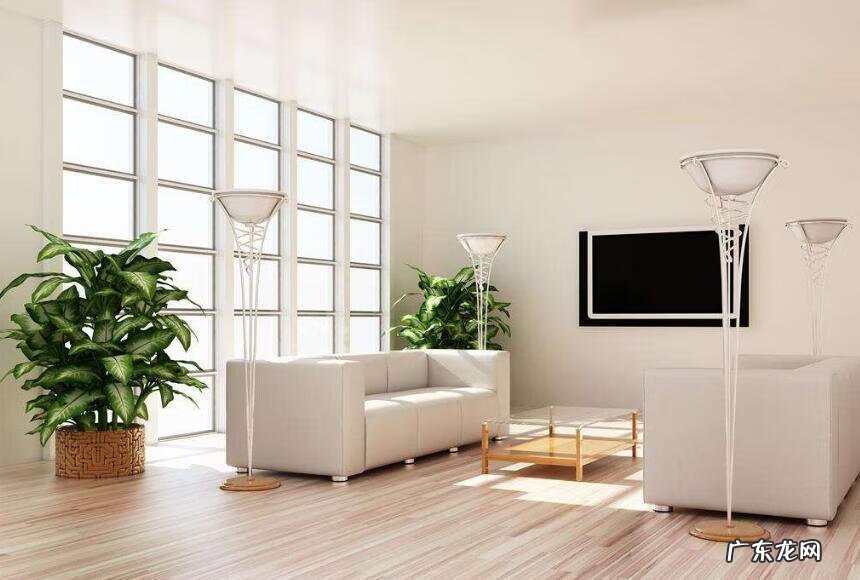 阳台藤蔓植物风水 藤蔓类植物风水禁忌