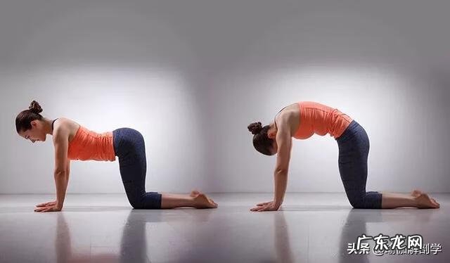 初学瑜伽应该学什么瑜伽 初学者瑜伽学什么