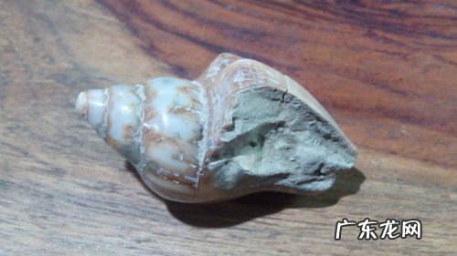 青色石头是什么岩石 现在青石头多少钱一吨