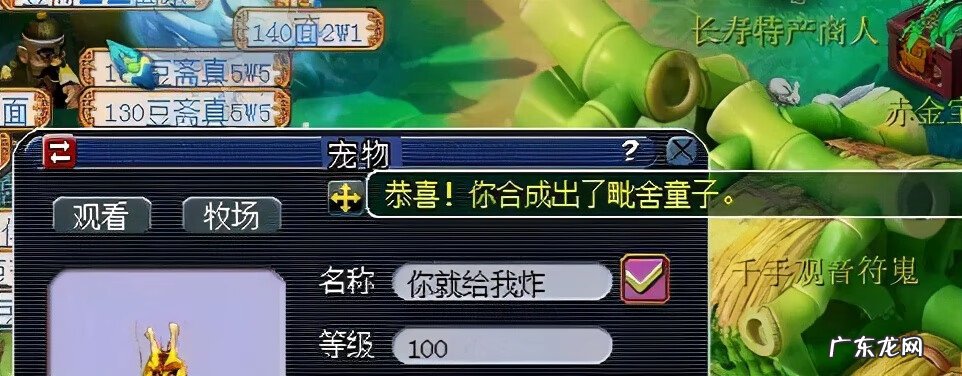 被别人破坏风水怎么解 梦幻风水问题不小心取消了