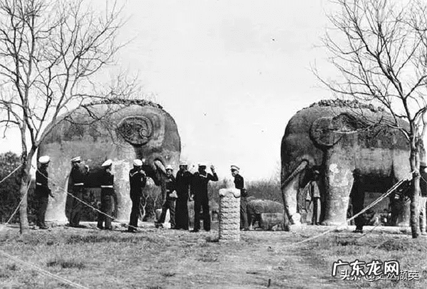 风水上对石头大象的讲究 两头石象的照片