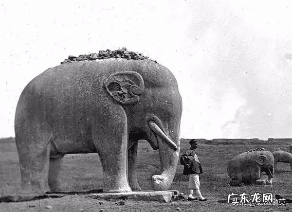 风水上对石头大象的讲究 两头石象的照片