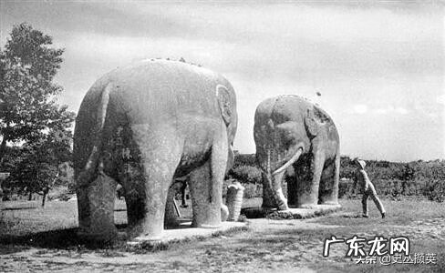 风水上对石头大象的讲究 两头石象的照片