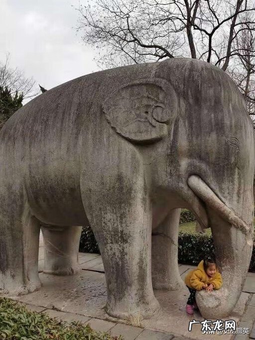 风水上对石头大象的讲究 两头石象的照片