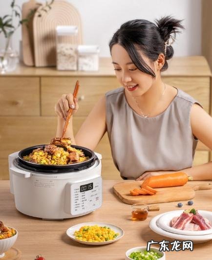 爱丽丝小家电 爱丽思小家电怎么样知乎