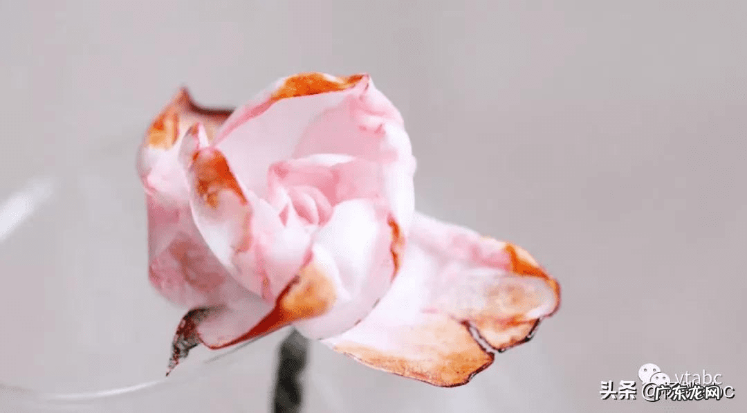 可食用糯米纸 糯米纸哪里有卖