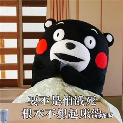 点点app下载安装 节奏点点下载