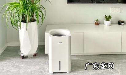 紫外线消毒灯白天可以用吗 加湿器uv杀菌有用吗