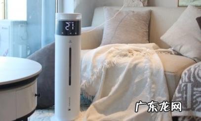 紫外线消毒灯白天可以用吗 加湿器uv杀菌有用吗