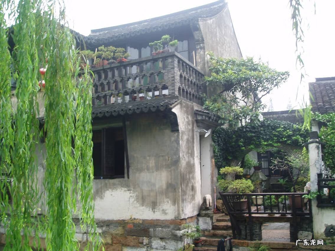 移植大树还需要注意哪些问题 移树有什么风水讲究