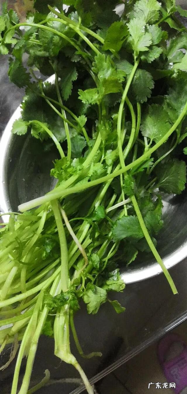 每个女孩青春期 青春期的女孩