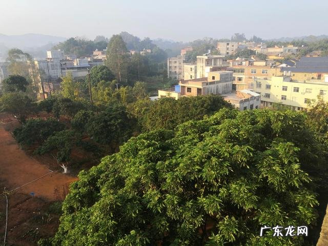 每个女孩青春期 青春期的女孩