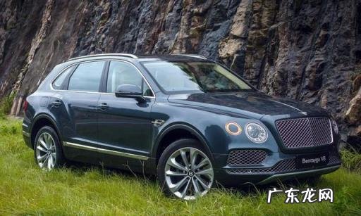 g500和g63买哪个划算 g63奔驰和g500的区别