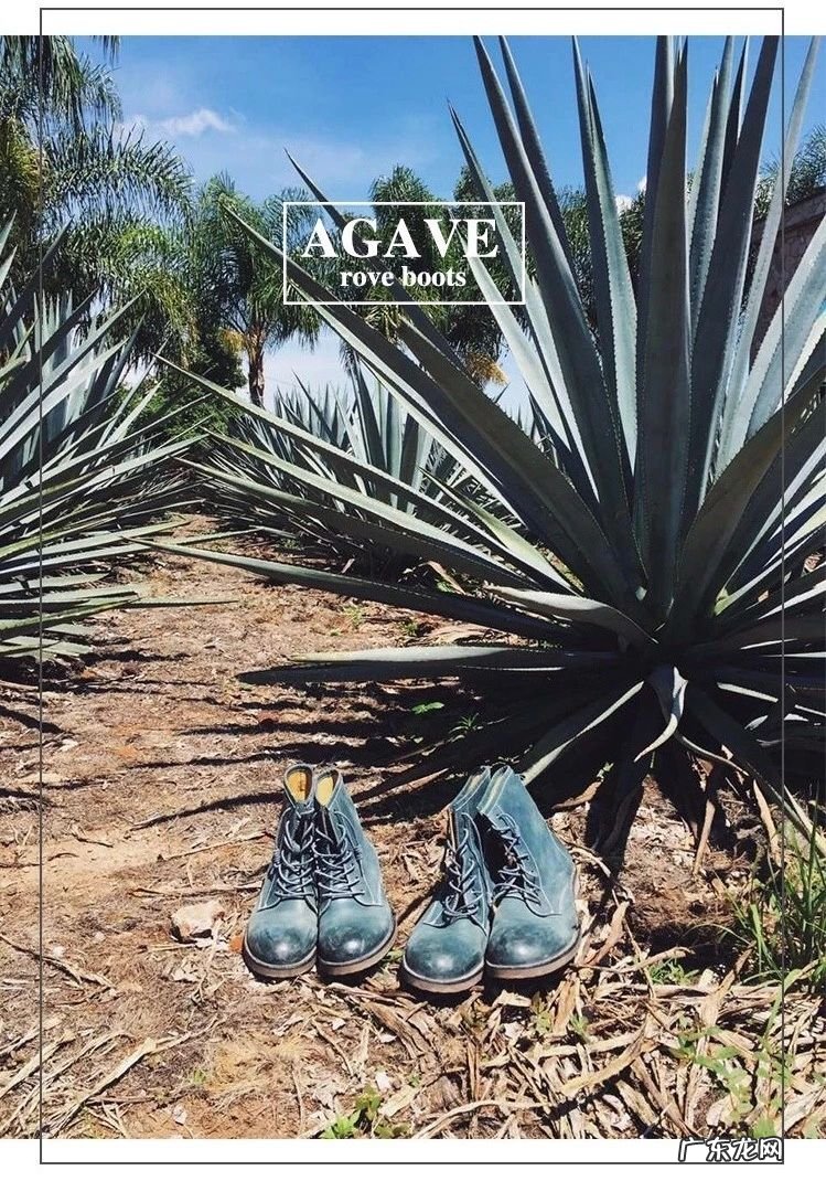 淘宝网红店铺排名女装 淘宝名店女装排行榜