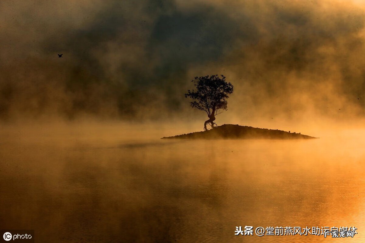 玄学通电子风水罗盘APP 玄学通电子风水罗盘