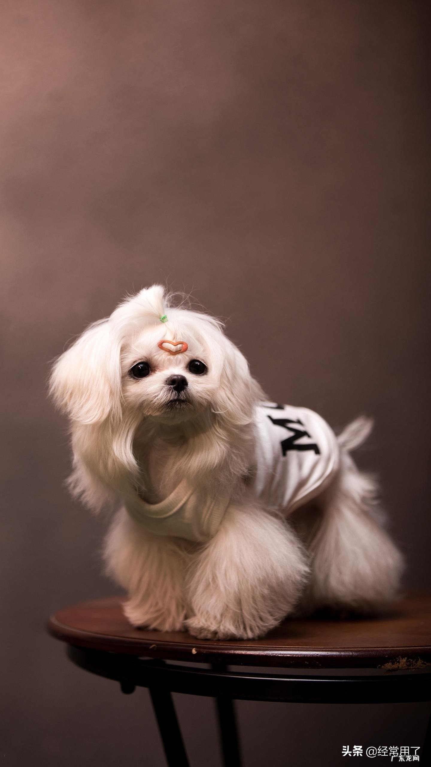 学习英语最快的方法是什么?