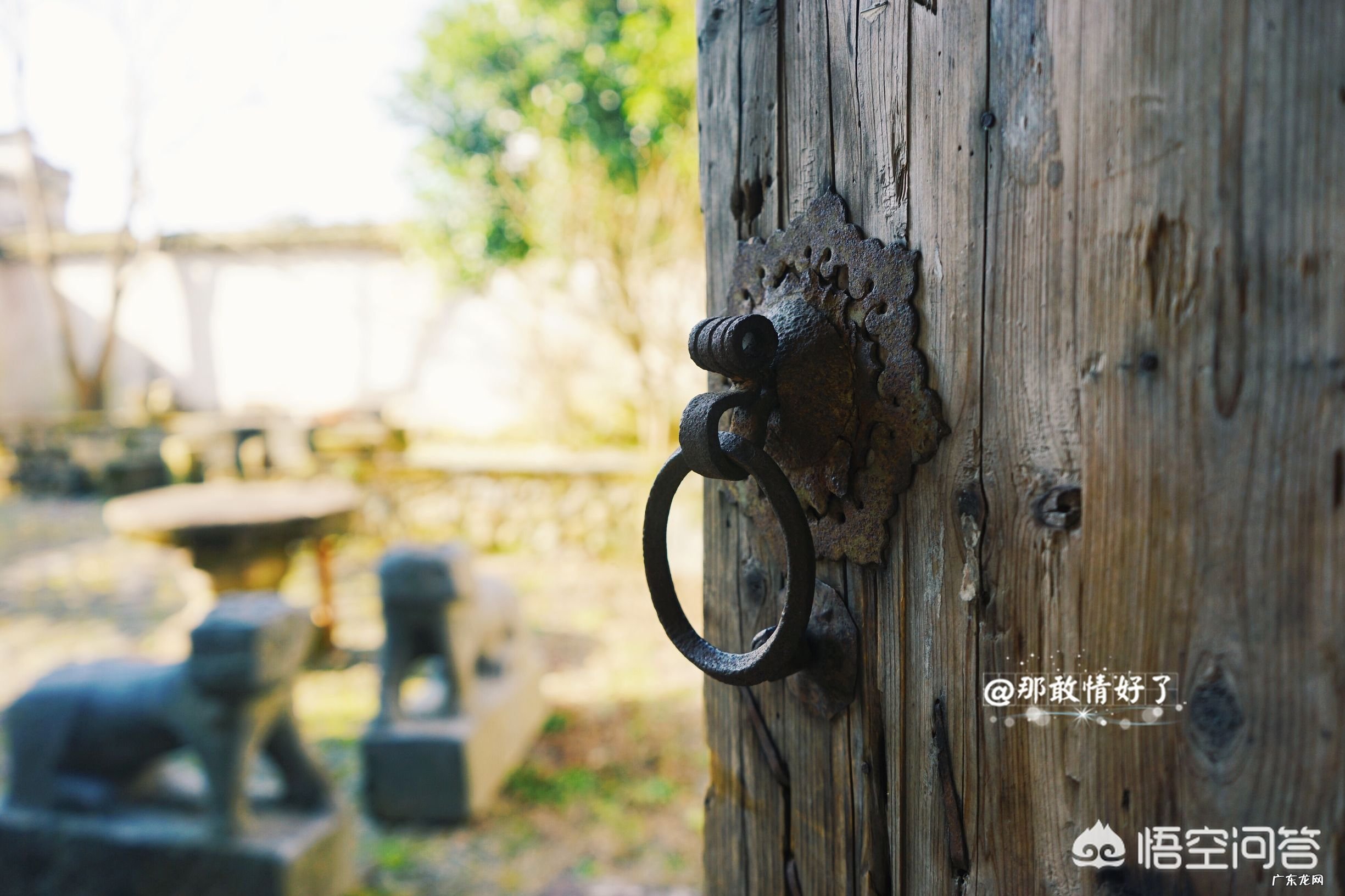 你认为10月中下旬时国内最好的旅行地点有哪些?为什么?