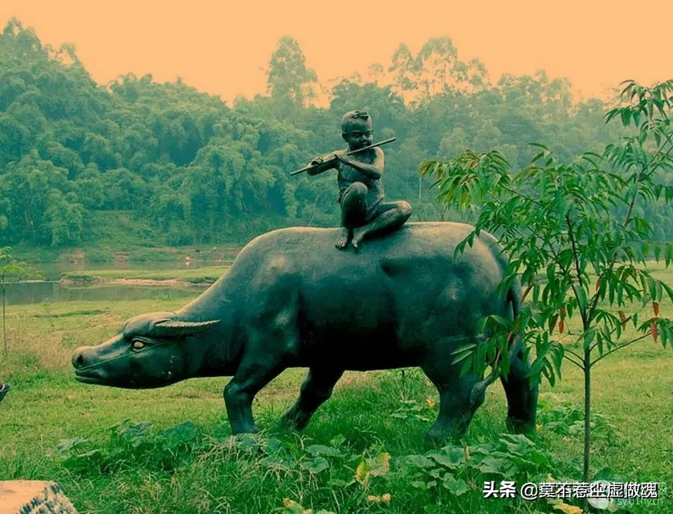 当今社会是应该读万卷书还是行万里路?你怎么看?