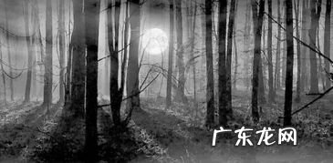什么叫做黑暗森林法则 黑暗森林法则是什么意思?