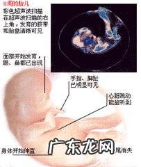 怀孕两个月的人,应该注意什么?