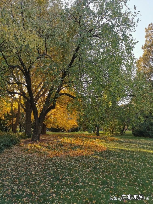 怎么规划孩子的美术生涯?