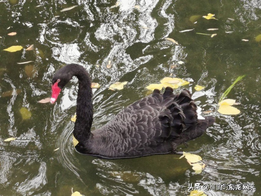 怎么规划孩子的美术生涯?