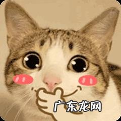 干性皮肤如何补水?有什么好用的面霜推荐吗?