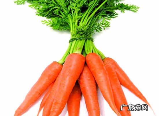 胡萝卜的好处和功效 胡萝卜的功效与作用有哪些