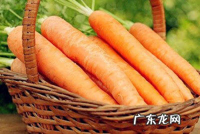 胡萝卜的好处和功效 胡萝卜的功效与作用有哪些