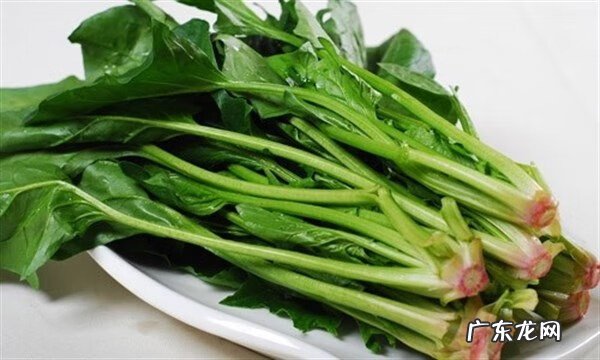 雨水节气风俗食物 雨水节气吃什么最合适