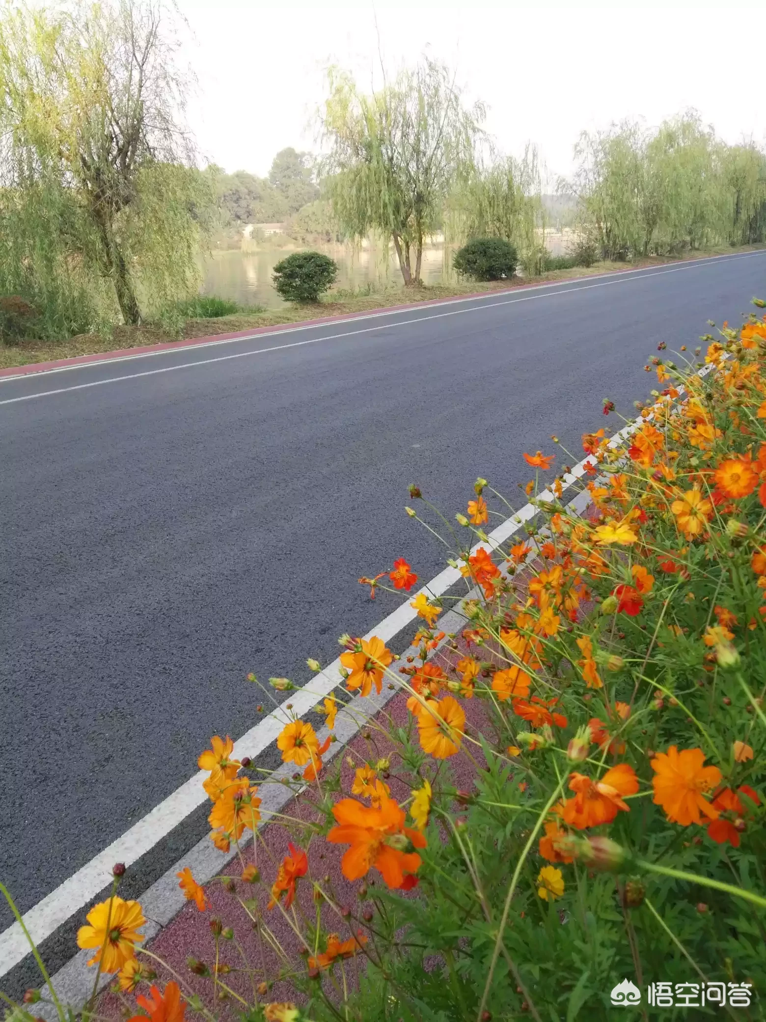 在旅行中,只用手机有什么办法能拍出来美美的情侣照片?