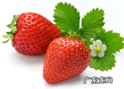 草莓寓意倒霉吗 草莓有倒霉的意思吗