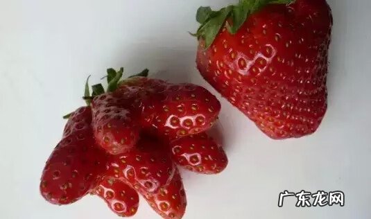 草莓寓意倒霉吗 草莓有倒霉的意思吗
