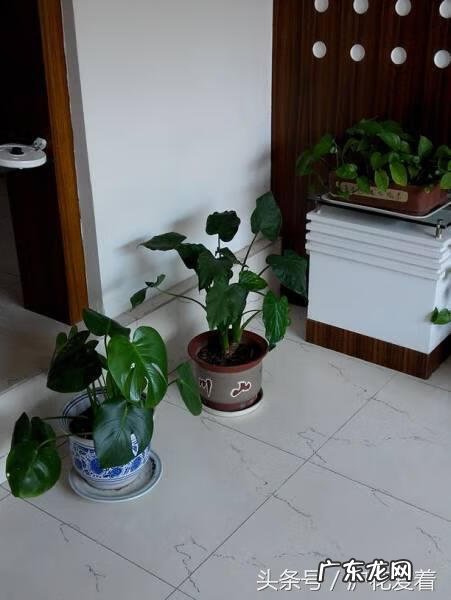 家里人生病和风水有关吗 远离大病患者的风水