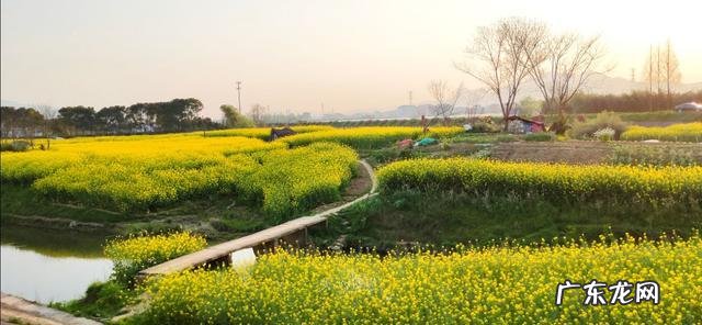 怎样拍摄好农村风光?