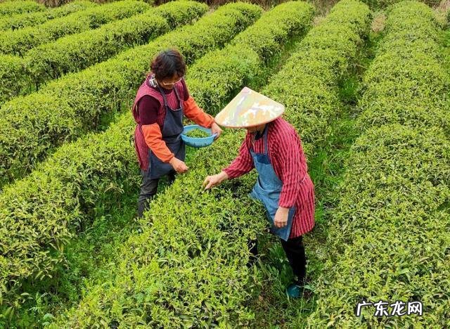 怎样拍摄好农村风光?