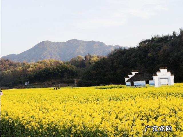 怎样拍摄好农村风光?