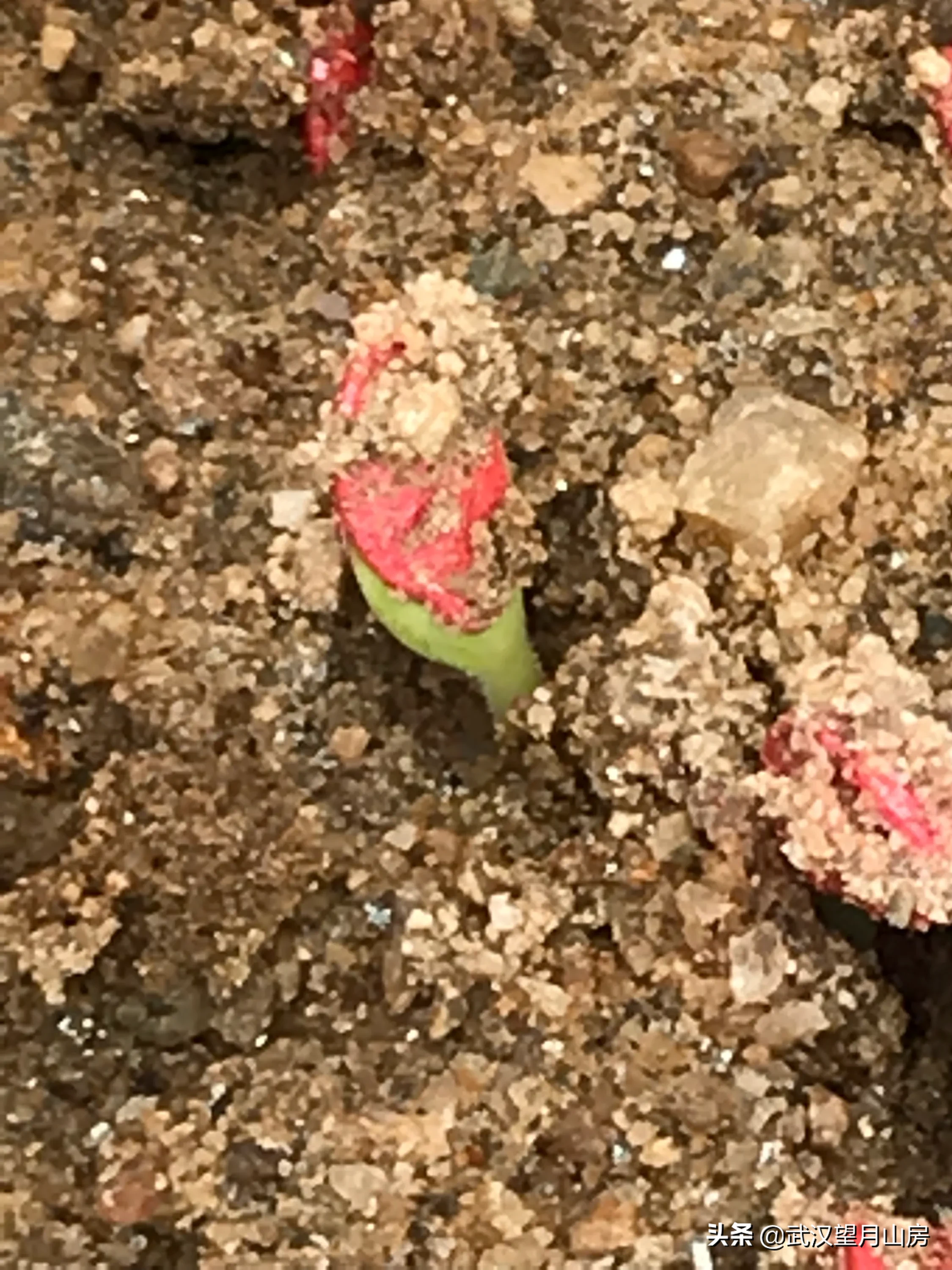 怎样拍摄好农村风光?