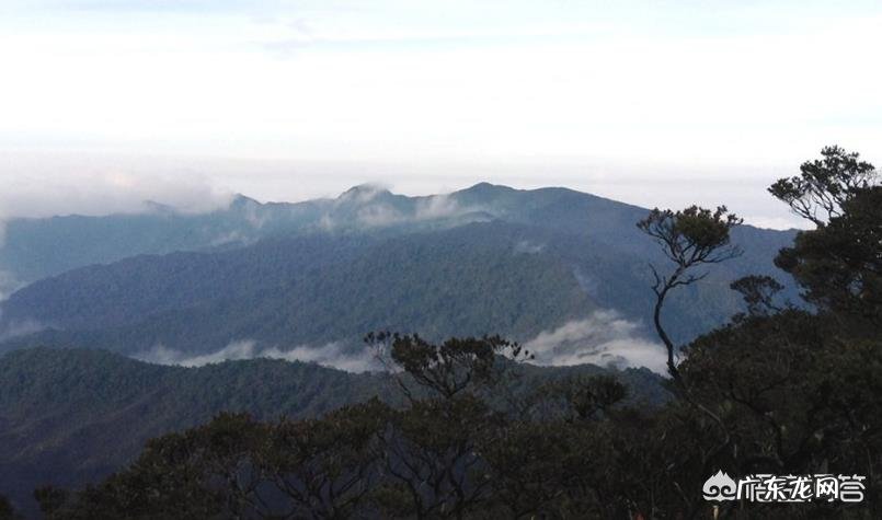 去马来西亚旅游，你有什么好的建议可以分享？